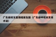 广东麻将文案情绪朋友圈（广东麻将搞笑常用术语）
