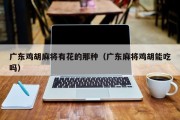 广东鸡胡麻将有花的那种（广东麻将鸡胡能吃吗）
