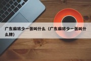 广东麻将少一张叫什么（广东麻将少一张叫什么牌）