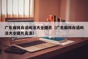 广东麻将白话叫法大全图片（广东麻将白话叫法大全图片高清）