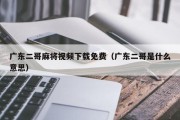 广东二哥麻将视频下载免费（广东二哥是什么意思）