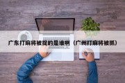 广东打麻将被捉的是谁啊（广州打麻将被抓）