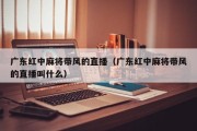 广东红中麻将带风的直播（广东红中麻将带风的直播叫什么）