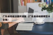 广东麻将胡法图片讲解（广东麻将胡牌牌型大全集）