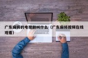 广东麻将的电视剧叫什么（广东麻将视频在线观看）