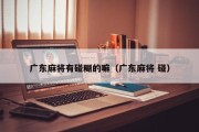 广东麻将有碰糊的嘛（广东麻将 碰）