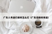 广东人粤语打麻将怎么打（广东话麻将用语）