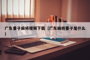 广东番子麻将视频下载（广东麻将番子是什么）