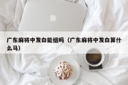 广东麻将中发白能组吗（广东麻将中发白算什么马）