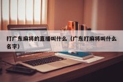 打广东麻将的直播叫什么（广东打麻将叫什么名字）