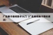 广东赖子麻将新手入门（广东麻将赖子牌的用法）