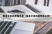 黑王子多肉养殖方法（黑王子多肉植物怎么养）