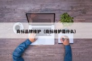 商标品牌维护（商标维护是什么）