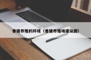 香猪养殖的环境（香猪养殖场建设图）