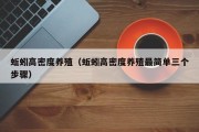 蚯蚓高密度养殖（蚯蚓高密度养殖最简单三个步骤）